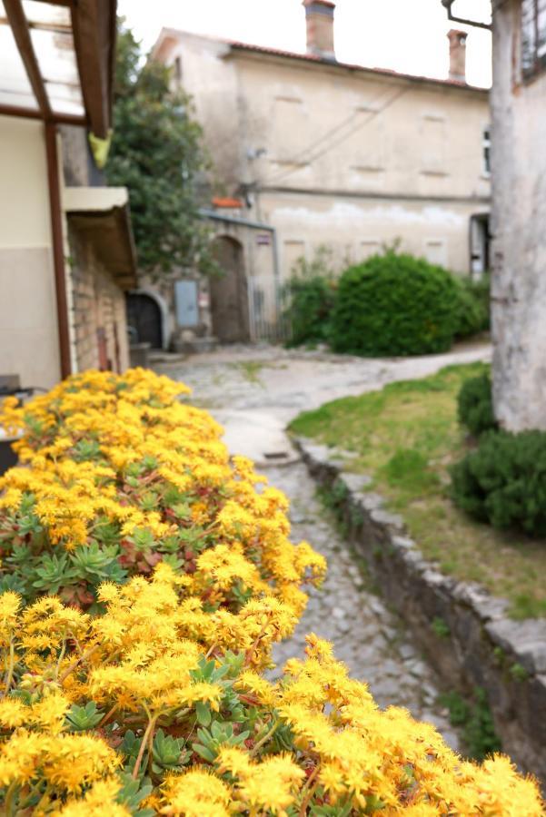 Apartmani Nad Voltun 카스타브 외부 사진